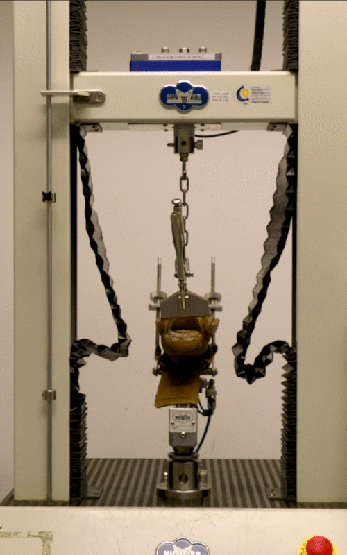 Captura de pantalla 2025-05-12 145229