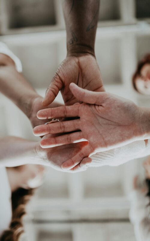 pexels-sierra-koder-94542064-10253482 (1)